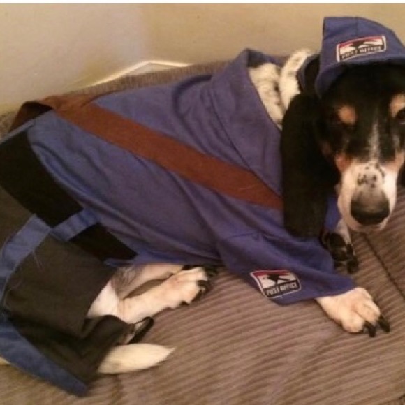 Meet your Posher, Sage - Picture 2 of 3